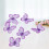 100pcs DIY Applique Net Wire Wedding Decoration 5