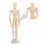 wood joints decorative model ornament desktop 4