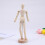 Joint Puppet Desktop Creative Craft Sheet 5