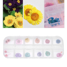 12 Farben getrocknete Blumen Nagelkunstdekorationen für DIY Nägel, aus natürlichen Materialien