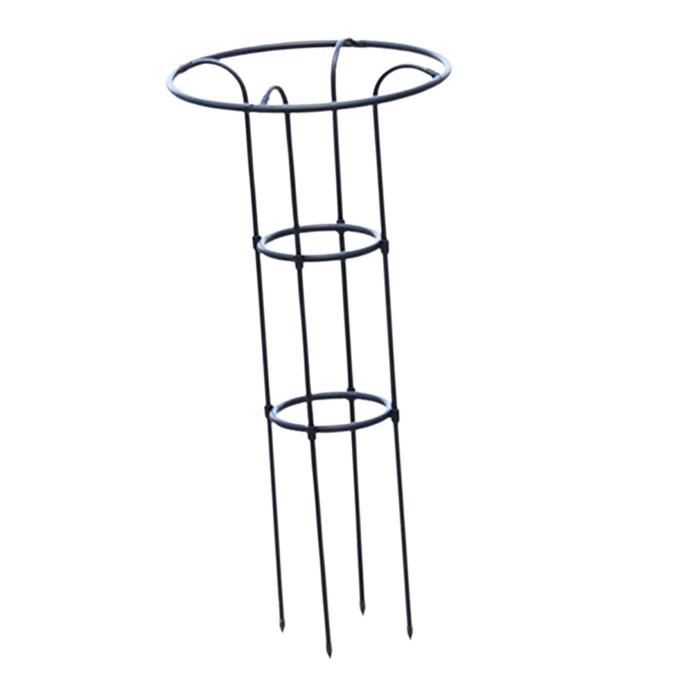 (Black, 100 cm) Plant Climbing Support Trellis For Vine Plants Garden With Rs Fruits-image-OPC-PMYFW27-NEW