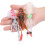 3 Stück Tiefsee Soft-Squid Köder – PVC, Braun/Pink/Weiß, 80g 9