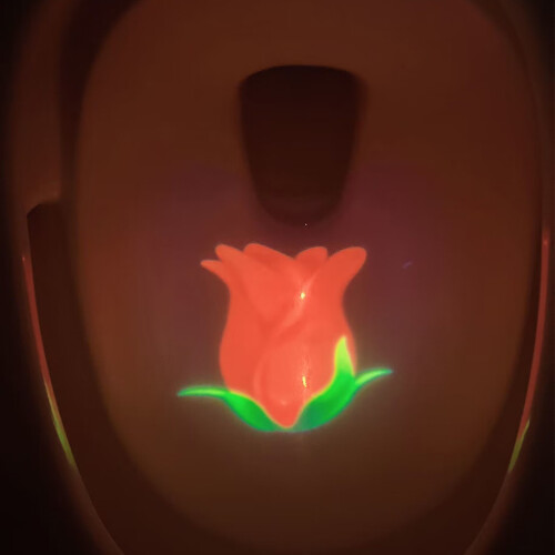 Automatic FORmotion Sensor Toilet Light LED Backlight Toilet Bowl Seat 2