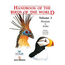 Handbook of the Birds of the World. Vol.3 Hardcover Book