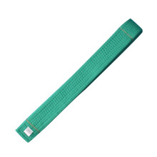 Volere è potere Taekwondo Judo Jiu Jitsu Gi Belt Martial Arts Belts Aikido Gi Bjj Belts Jiu Jitsu Gi Belt, Green, 2.2M