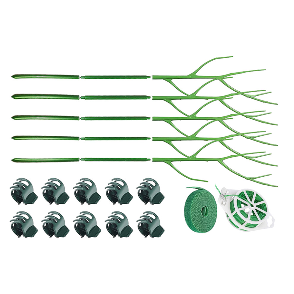 Green Sturdy Support To Monstera Plants Grow Monstera Plant Support-image-OPC-PMYJDXF-NEW