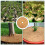 6piece Tree Trunk Protector For Effective Winter Protection Healthy 3