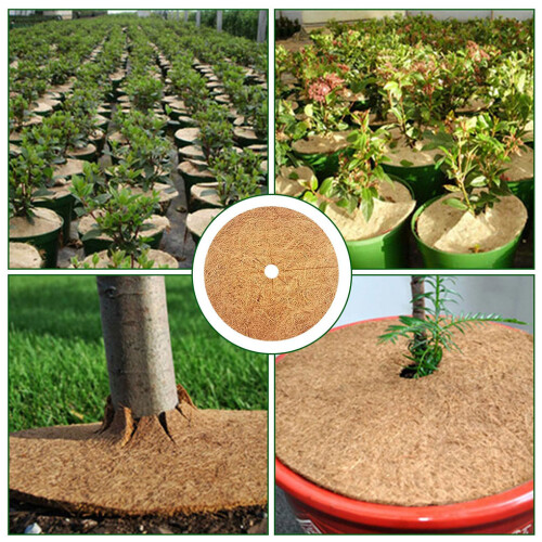 6piece Tree Trunk Protector For Effective Winter Protection Healthy 2