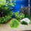 3 Gesimuleerde Waterplanten Aquarium Decor 6