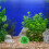 3 Gesimuleerde Waterplanten Aquarium Decor 7