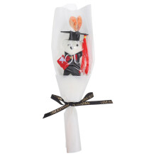 2Stk Abschluss Puppe Plüsch Für Abschlussfeier Geschenk