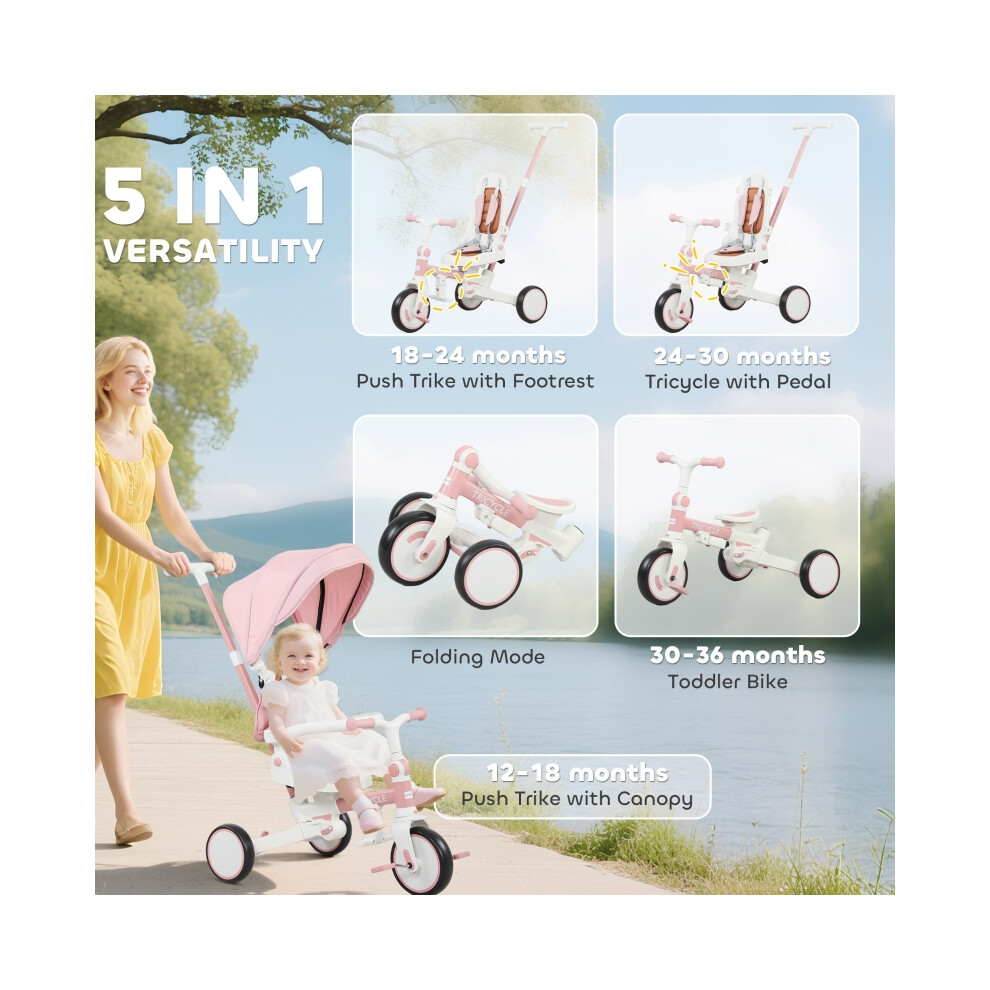 Kids 5 in 1 Trike with Adjustable Backrest & Push Handle for Toddlers Pink Comfortable Seating Steel Frame Growth Adjustable-image-OPC-PMYJTF7-NEW