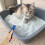 Pet Kitten Litterzand Schep Extra Duurzame Schoonmaakhulp 8