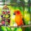 Bird Kauwspeelgoed Vogelkooi Hangend Decor Vogels 2