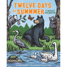 Twelve Days of Summer by Sherri Maret Hardcover Book