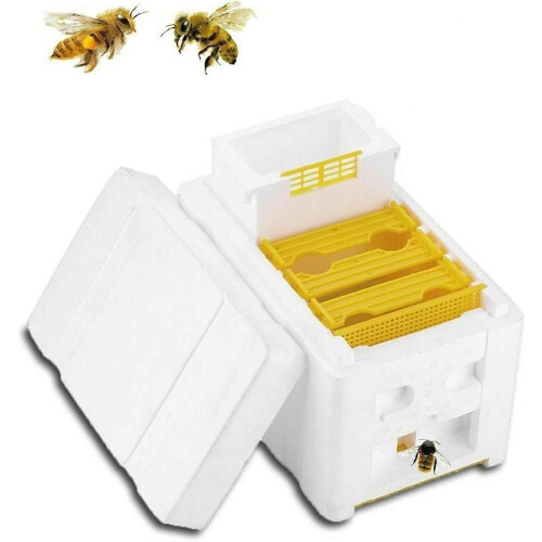 Foam Beekeeping Mating Box Tool Sturdy Accessories Professional Practical Breeding Box Development Bees Hives 1