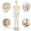 Solid Wood Sketching Model - 12" Art Manikin for Drawing Practice 8
