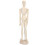 Solid Wood Sketching Model - 12" Art Manikin for Drawing Practice 10