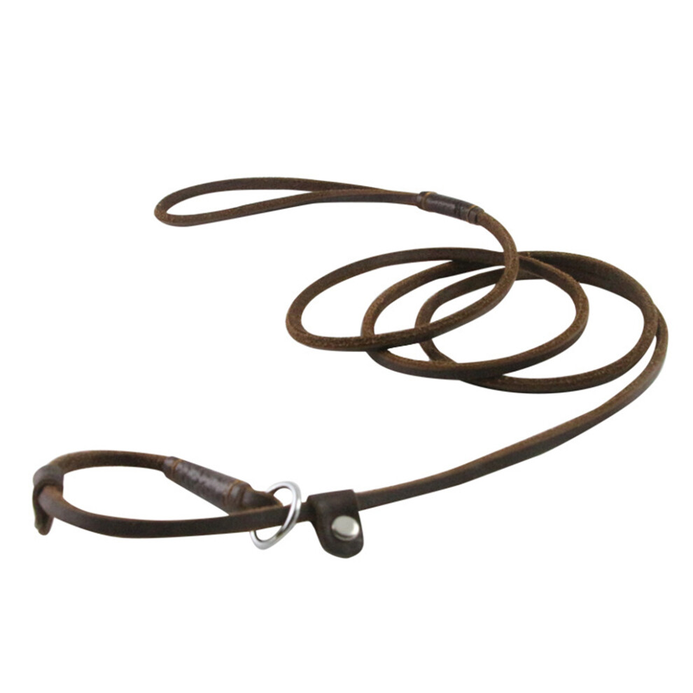 Brown Pet Supplies Stylish Leather Leash For All Breeds Of Dogs-image-OPC-PMYQ6XX-NEW