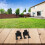 Multi Purpose Garden Tool Hanger, 2PCS Wall Mounted Storage Rack for Efficient Organization 4