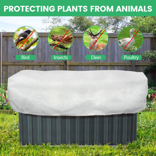 Rectangular Plant Freeze Canopies 4.1x2 Feet For Cyclical 1
