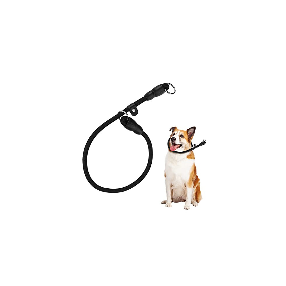 (Black, L) Scratch-proof Training Collar Easy Operation For Effective Training-image-OPC-PMYSHZW-NEW