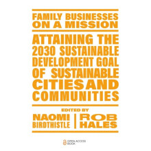Attaining the 2030 Sustainable Development Goal of Sustainable Cities