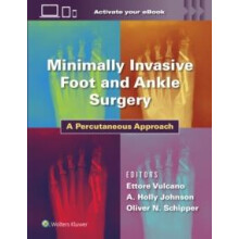 Minimally Invasive Foot and Ankle Surgery by Oliver Schipper Hardcover