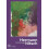 Hermann Nitsch Paperback Book 1