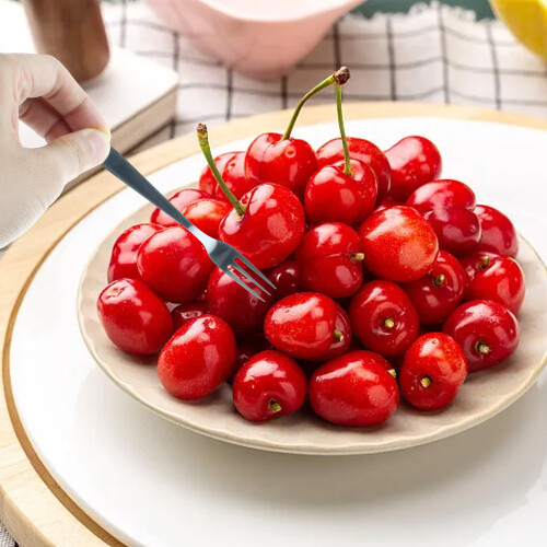 Garfos para aperitivos, próprios para lava-louças, lisos e resistentes, de 12,7 cm (5 polegadas), em aço inoxidável, com design retrô, ideais 1