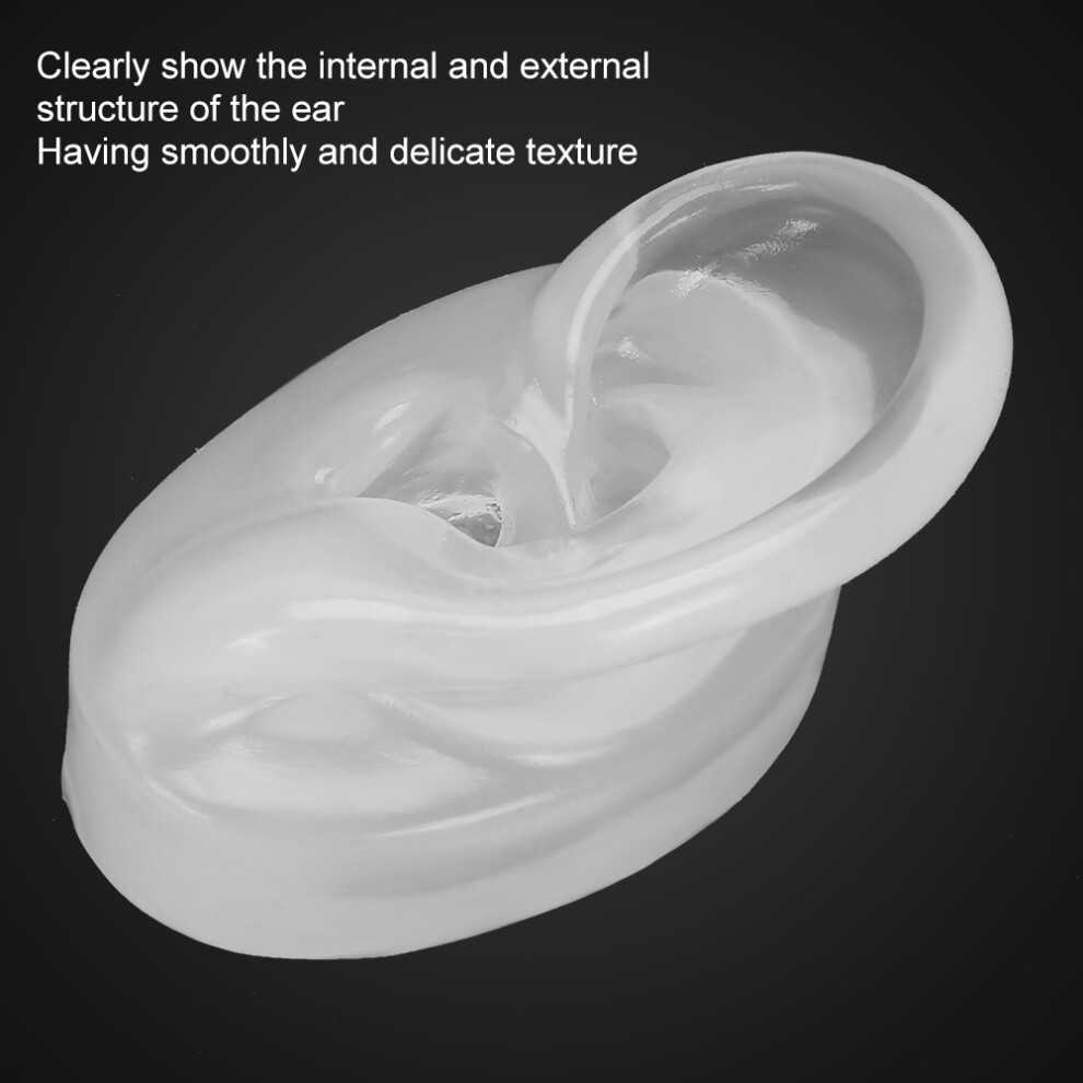 Silicone Left Ear Model for Hearing Aid Display and Practice