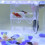 2Stk Transparente DoppelFunktion Schlupfbox Betta Zierfisch Lebensraum 10