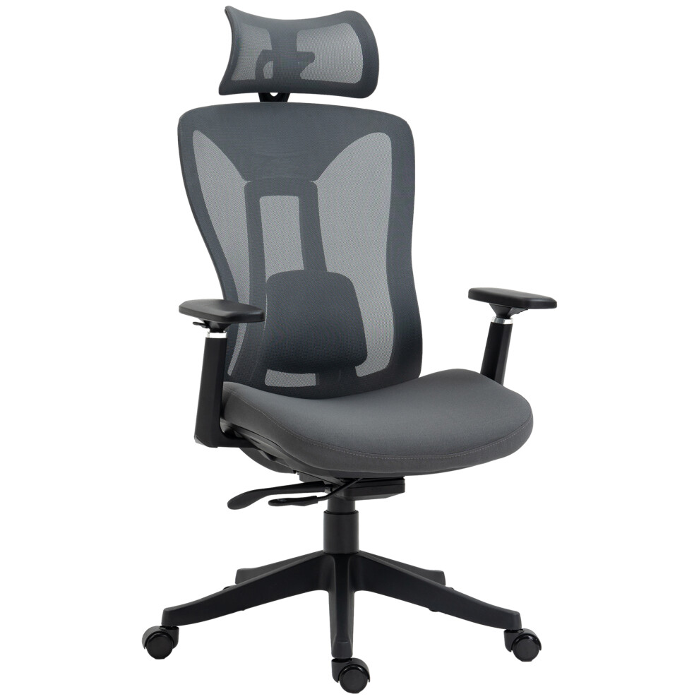 Comfortable Mesh Computer Chair with Adjustable Headrest Lumbar Support 135 Reclining Back & 3D Armrest Grey for Home Office-image-OPC-PMYXW5J-NEW