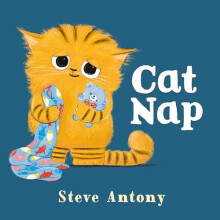 Cat Nap by Steve Antony Paperback Book