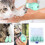 4Pcs Silicone Cat Paw Protectors - Light Blue, Full Enclosure 8
