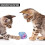 Caged Mice Wire Cage Rolling Toy with Plush Mice Cat Interactive 6