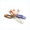 Delicate Ballet Keyring Unique KeyChain for Ballet-Purple 7