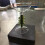 Christmas Tree Glassware Stemmed Ice Cream Cup Perfect For 4