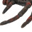 Simulation Insect Model Halloween Decoration Eco-Friendly PVC, Size Shown 9