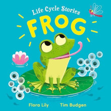 Life Cycle Stories Frog by Flora Lily Hardcover Book