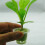 20 Mesh Pot Net Cup Baskets Designed for Aeroponic Systems Includes Sponge for Enhanced Growth 3