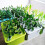 20 Mesh Pot Net Cup Baskets Designed for Aeroponic Systems Includes Sponge for Enhanced Growth 4