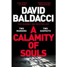 A Calamity of Souls by David Baldacci Hardcover Book