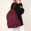 Travel Backpack Student School Backpack Laptop Backpack-Red 6