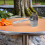 Durable Stainless Steel Fruit Grabber Tool Silver Outdoor Picker 5