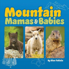 Mountain Mamas and Babies by Stan Tekiela Other Book