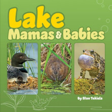 Lake Mamas and Babies by Stan Tekiela Other Book
