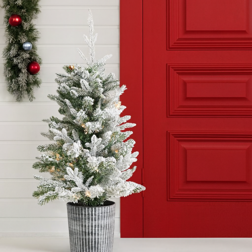Frosted Potted Tree 3ft, Pre-Lit 60 Warm LEDs, Battery Operated, 90cm 1
