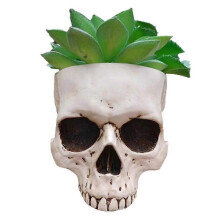 (White)Outdoor Garden Halloween Decoration, Skull Succulent Flower Pot for Gothic Home Decoration