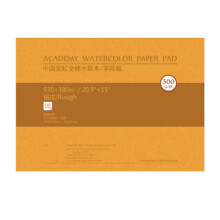 Multipurpose 300g Cotton Art Paper Pad 20 Sheets High-4k crude